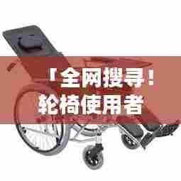 「全网搜寻！轮椅使用者必备，百度一下谁是轮椅界的红人」