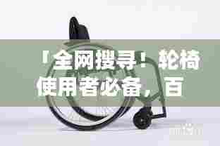 「全网搜寻!轮椅使用者必备,百度一下谁是轮椅界的红人」