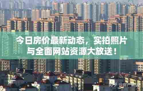 今日房价最新动态，实拍照片与全面网站资源大放送！