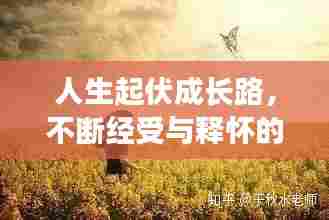 人生起伏成长路,不断经受与释怀的旅程