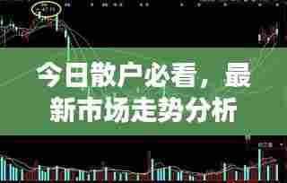 今日散户必看，最新市场走势分析，操作策略揭秘