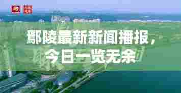 鄢陵最新新闻播报,今日一览无余