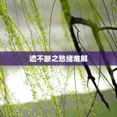 遮不断之愁绪难解
