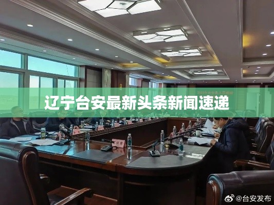 辽宁台安最新头条新闻速递