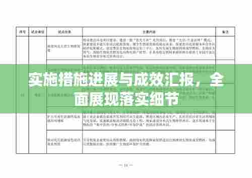 实施措施进展与成效汇报,全面展现落实细节