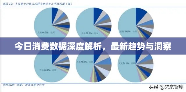 今日消费数据深度解析,最新趋势与洞察