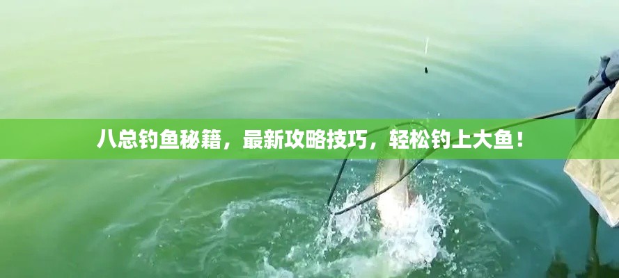 八总钓鱼秘籍,最新攻略技巧,轻松钓上大鱼!