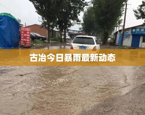 古冶今日暴雨最新动态