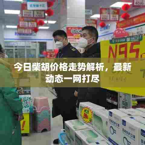 今日柴胡价格走势解析,最新动态一网打尽