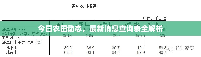 今日农田动态,最新消息查询表全解析