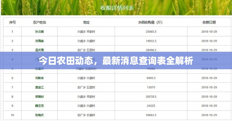 今日农田动态,最新消息查询表全解析