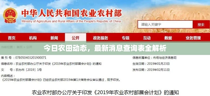 今日农田动态,最新消息查询表全解析