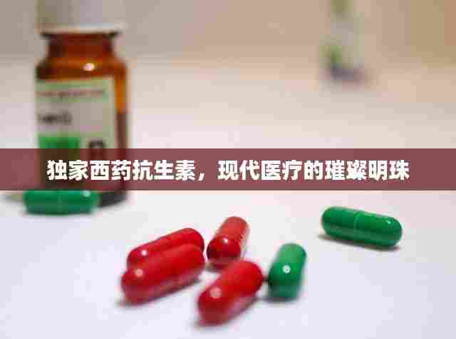 独家西药抗生素,现代医疗的璀璨明珠