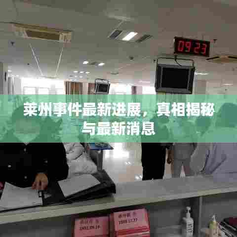 莱州事件最新进展，真相揭秘与最新消息