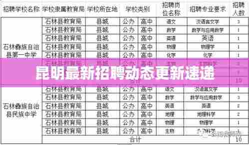 昆明最新招聘动态更新速递