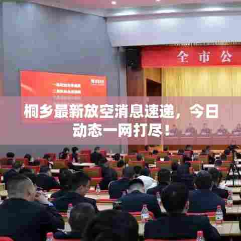 桐乡最新放空消息速递,今日动态一网打尽!