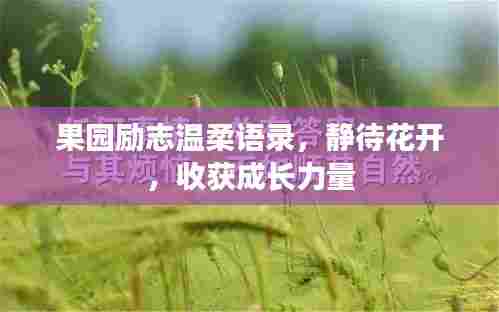 果园励志温柔语录,静待花开,收获成长力量