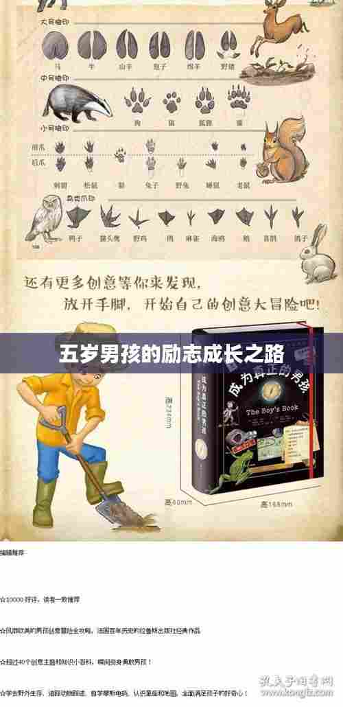 五岁男孩的励志成长之路