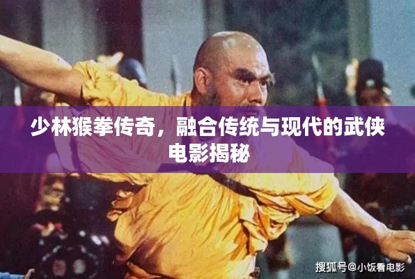 少林猴拳传奇，融合传统与现代的武侠电影揭秘