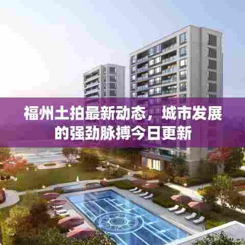 福州土拍最新动态,城市发展的强劲脉搏今日更新