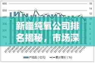 新疆纯氧公司排名揭秘,市场深度分析与前景展望