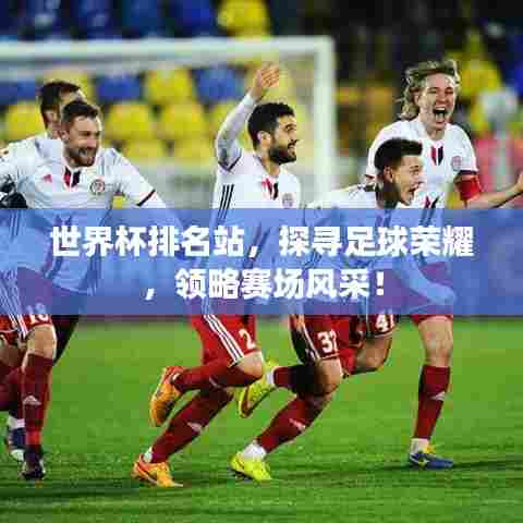 世界杯排名站,探寻足球荣耀,领略赛场风采!