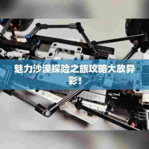 魅力沙漠探险之旅攻略大放异彩!