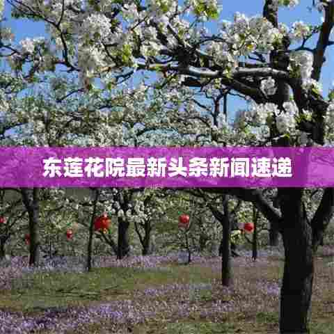 东莲花院最新头条新闻速递