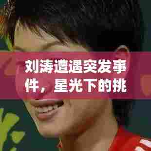 刘涛遭遇突发事件,星光下的挑战与逆袭之路