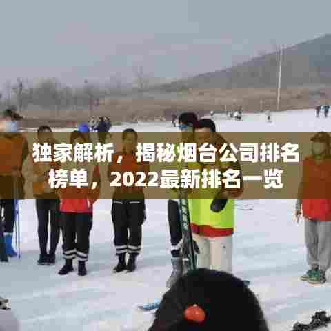 独家解析，揭秘烟台公司排名榜单，2022最新排名一览