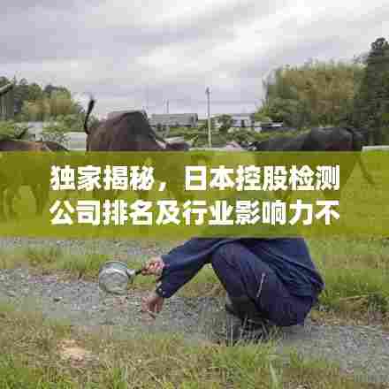 独家揭秘,日本控股检测公司排名及行业影响力不容小觑
