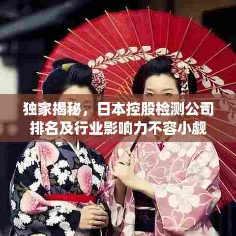 独家揭秘,日本控股检测公司排名及行业影响力不容小觑