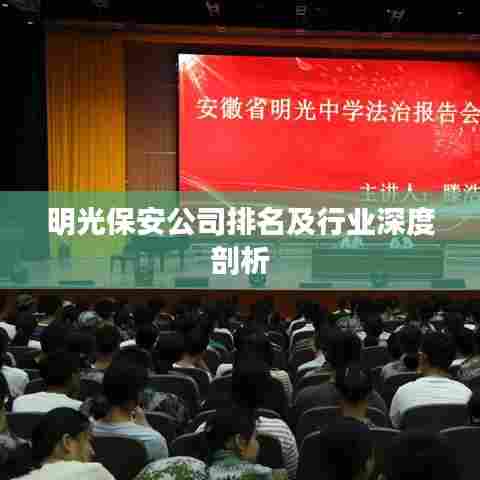 明光保安公司排名及行业深度剖析