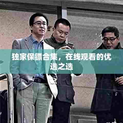 独家保镖合集,在线观看的优选之选