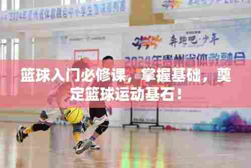 篮球入门必修课，掌握基础，奠定篮球运动基石！