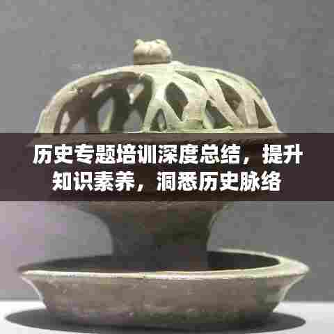 历史专题培训深度总结,提升知识素养,洞悉历史脉络