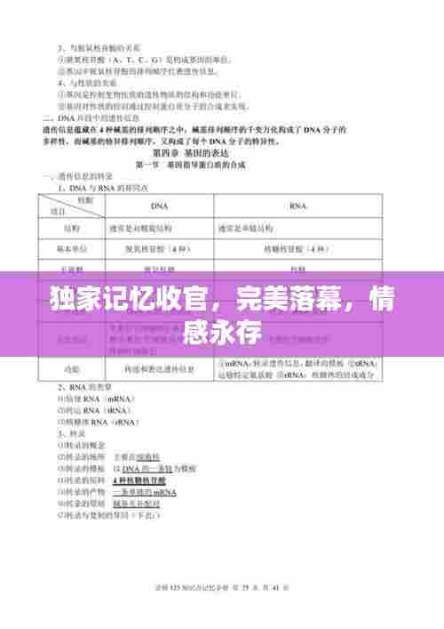 独家记忆收官,完美落幕,情感永存