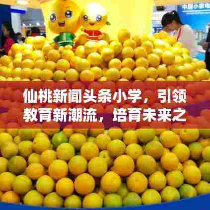 仙桃新闻头条小学，引领教育新潮流，培育未来之星领袖