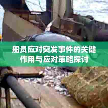船员应对突发事件的关键作用与应对策略探讨