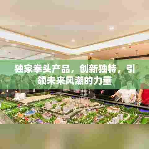 独家拳头产品，创新独特，引领未来风潮的力量