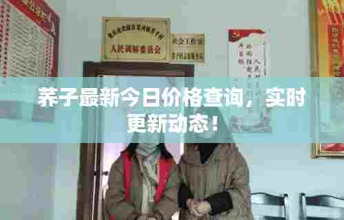 荞子最新今日价格查询,实时更新动态!