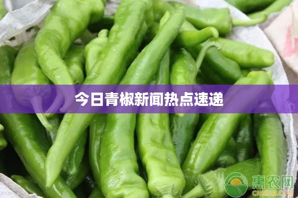 废寝忘食 第5页