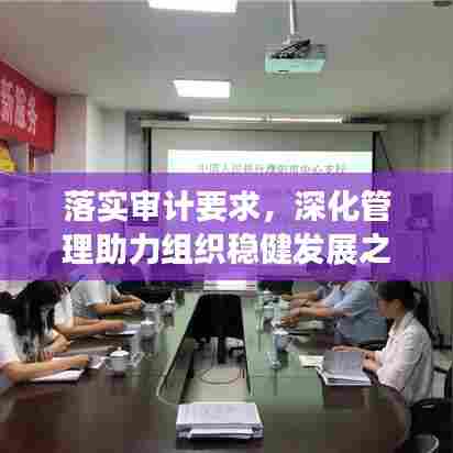 落实审计要求，深化管理助力组织稳健发展之路