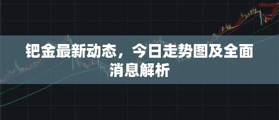钯金最新动态,今日走势图及全面消息解析