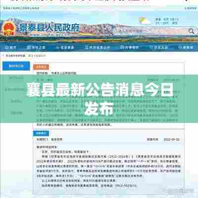 襄县最新公告消息今日发布