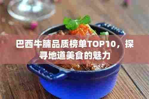 巴西牛腩品质榜单TOP10,探寻地道美食的魅力