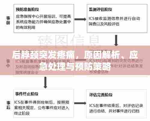 后脖颈突发疼痛，原因解析、应急处理与预防策略