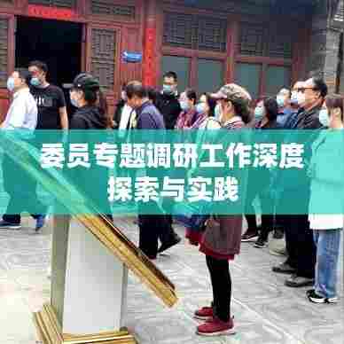 委员专题调研工作深度探索与实践