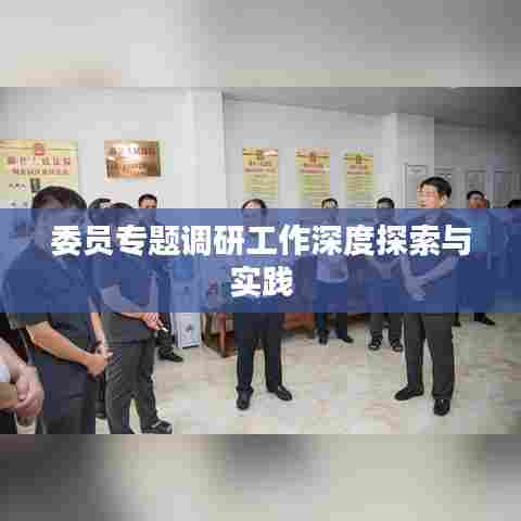 委员专题调研工作深度探索与实践