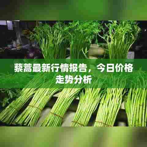 藜蒿最新行情报告,今日价格走势分析